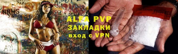 PSILOCYBIN Вязьма