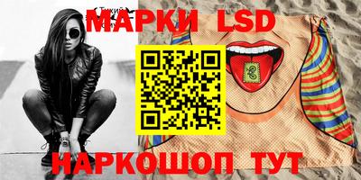 молекула духа Камышлов