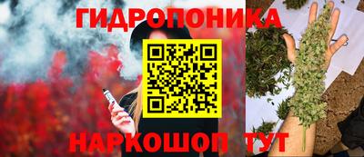 молекула духа Камышлов