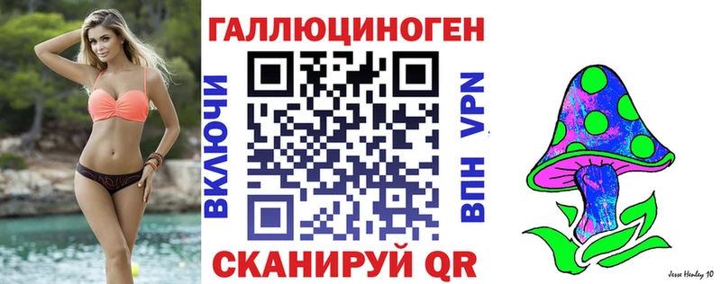 Псилоцибиновые грибы GOLDEN TEACHER  Нерюнгри 