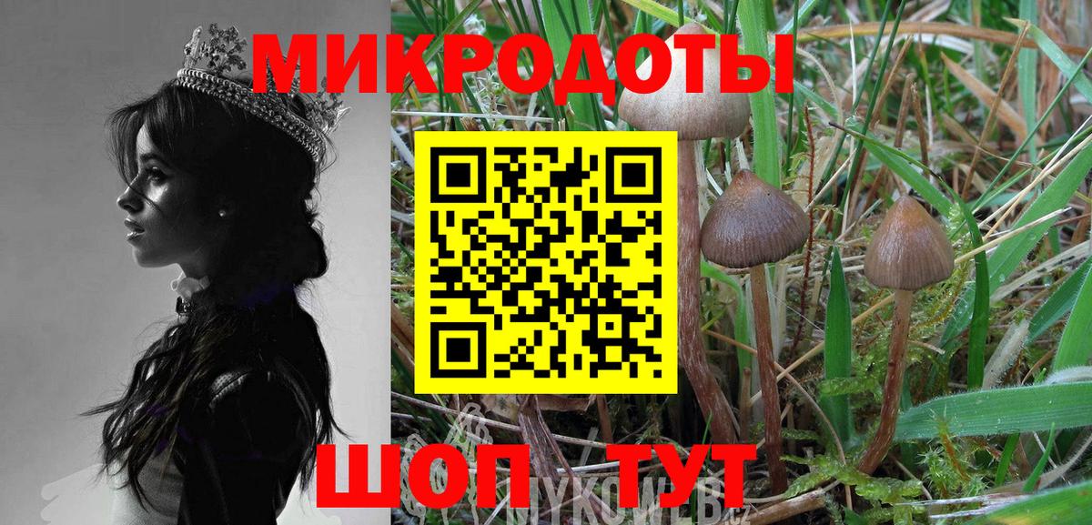 купить  цена  Псилоцибиновые грибы прущие грибы  Вход с VPN  Нерюнгри 