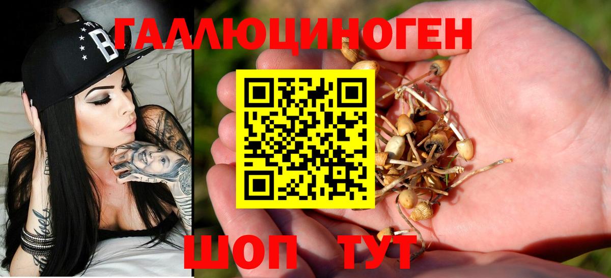 Галлюциногенные грибы мицелий Нерюнгри